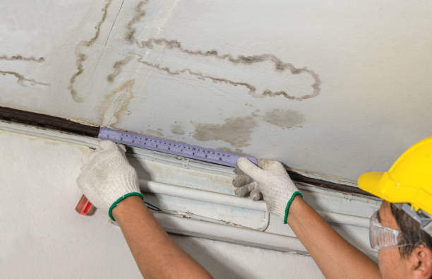 Reliable Mold Remediation contractor in Spring Hope, NC by Water Damage Irwin